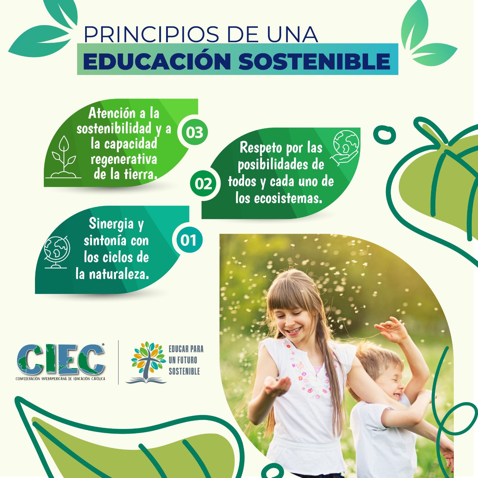 tres principios de la educación sostenible